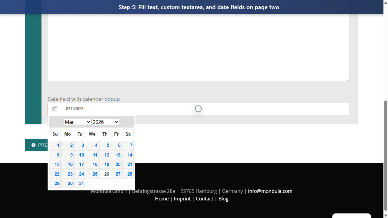 Step 5: Fill text, custom textarea, and date fields on page two