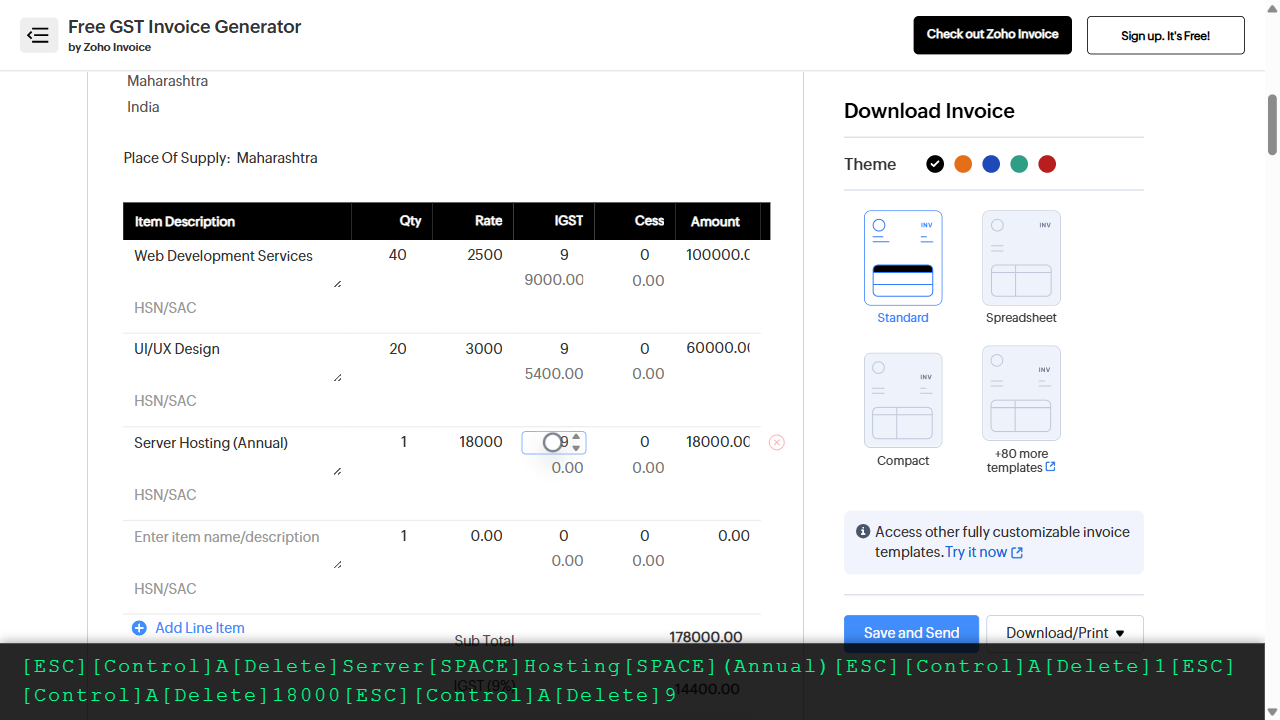 Step 8: Add line item 3: annual server hosting