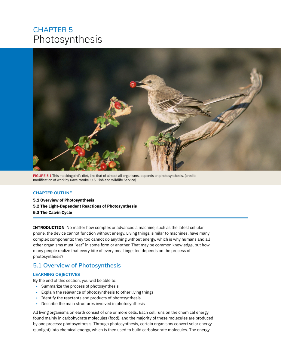 source page